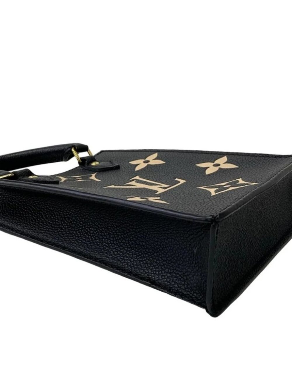 LOUIS VUITTON Petit Sac Plat Black Beige Bicolor Monogram Amplant - Picture 6 of 15